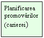 Text Box: Planificarea promovarilor (carierei)